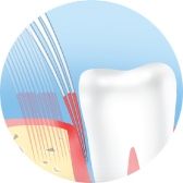  Astera Parodont Active Четка за зъби-Medium